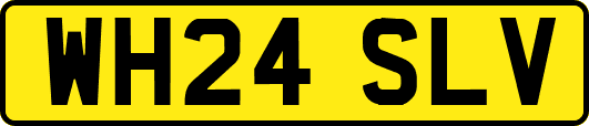 WH24SLV