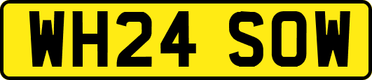 WH24SOW