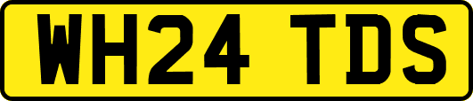 WH24TDS