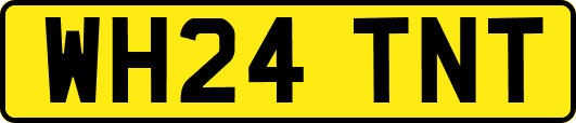 WH24TNT