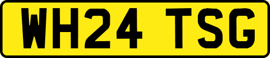 WH24TSG