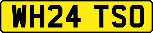 WH24TSO