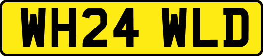 WH24WLD