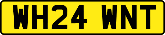 WH24WNT