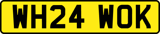 WH24WOK