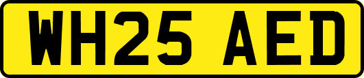 WH25AED