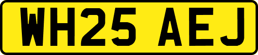 WH25AEJ