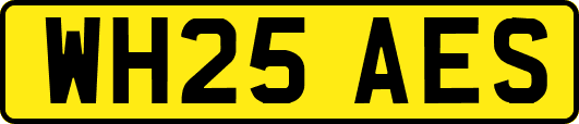 WH25AES