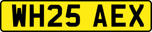 WH25AEX