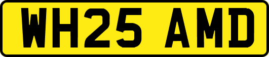 WH25AMD