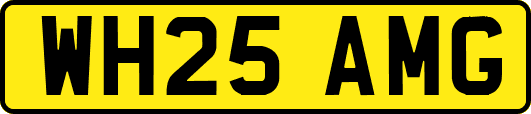 WH25AMG