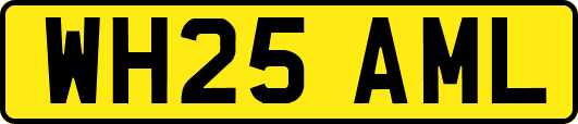 WH25AML