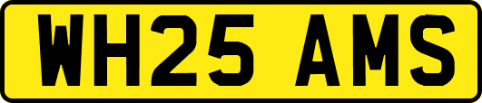 WH25AMS