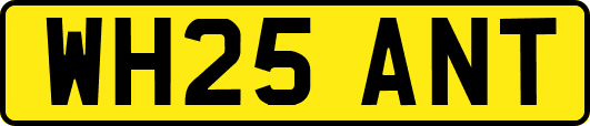 WH25ANT