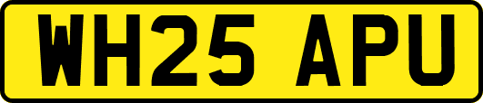 WH25APU
