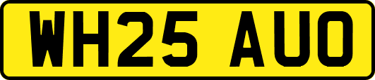 WH25AUO