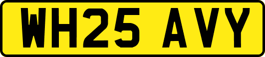 WH25AVY