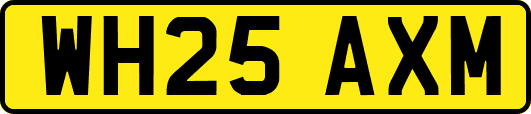 WH25AXM