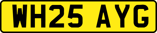 WH25AYG