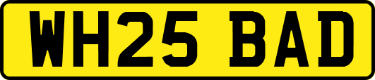 WH25BAD