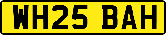 WH25BAH