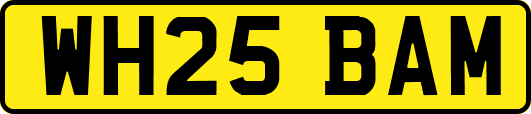 WH25BAM