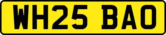 WH25BAO