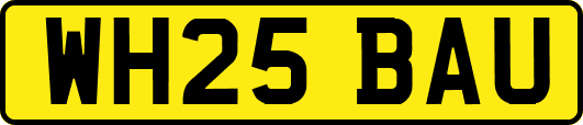 WH25BAU