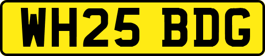 WH25BDG