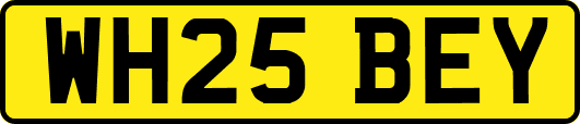 WH25BEY