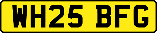 WH25BFG