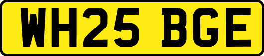 WH25BGE
