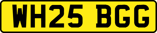 WH25BGG
