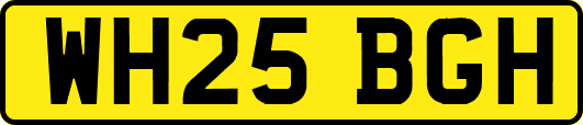 WH25BGH