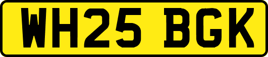 WH25BGK