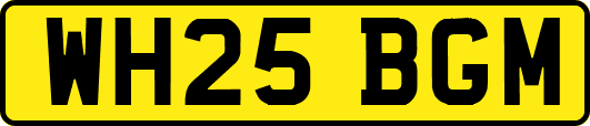 WH25BGM