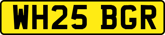 WH25BGR