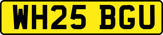 WH25BGU