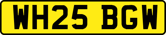 WH25BGW