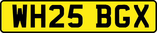 WH25BGX