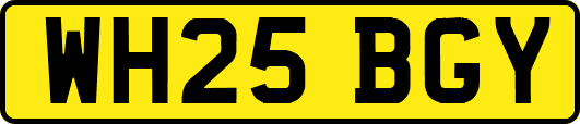WH25BGY
