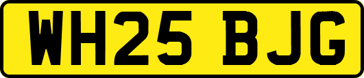 WH25BJG