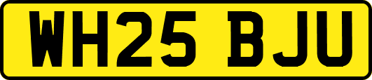 WH25BJU