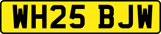 WH25BJW