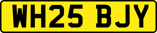 WH25BJY
