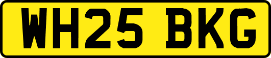 WH25BKG