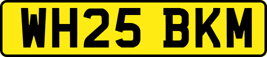 WH25BKM