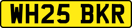 WH25BKR