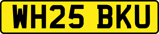 WH25BKU