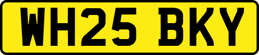 WH25BKY